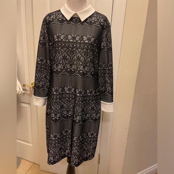 Black & White Collar Dress- Ivanka
Trump coloction - Picture 1 of 16